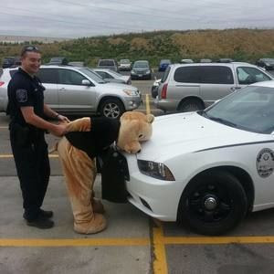 Meet your Posher, Brandon